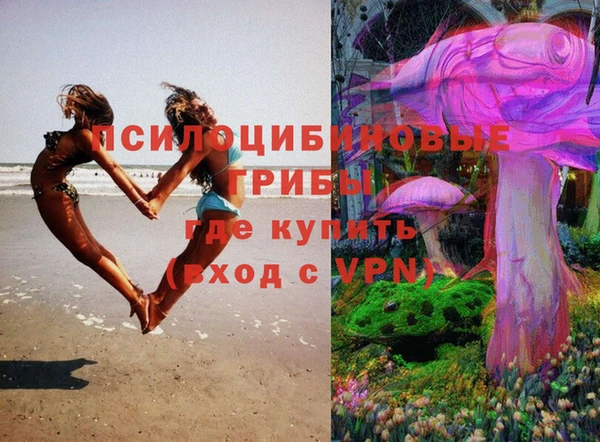 PSILOCYBIN Верхнеуральск
