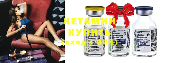 дмт Бородино