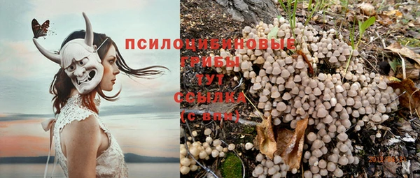 дмт Бородино