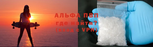 дмт Бородино