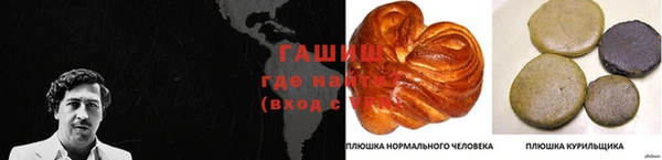 твердый Сосновый Бор