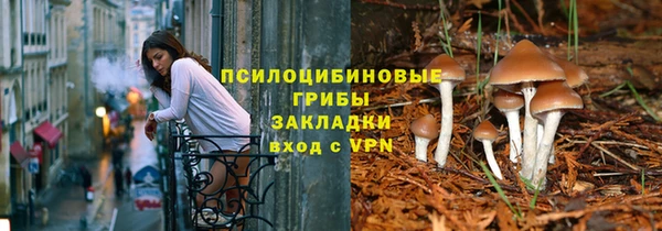 сатива Верхний Тагил