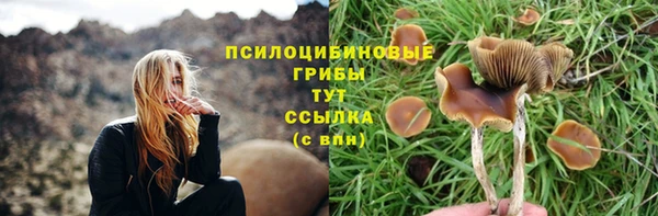 дмт Бородино